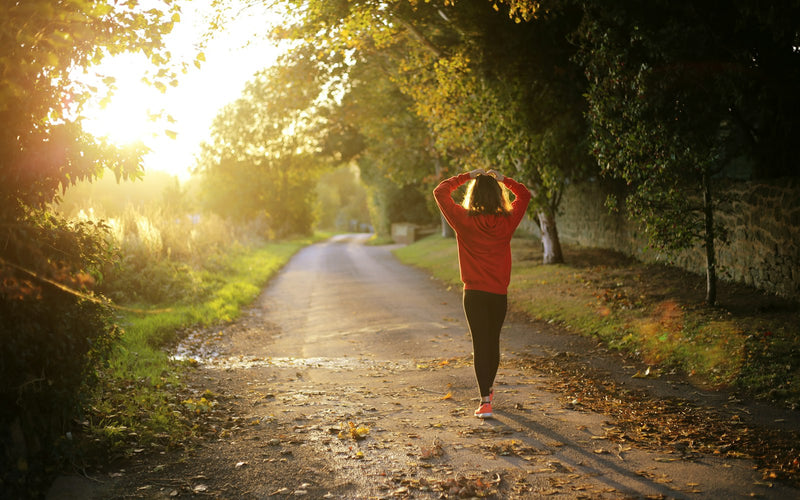 A woman walking away along a quiet country lane in low autumn sunlight